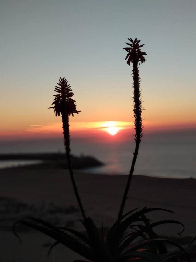 Dream Holiday -Beautiful Spot نازاريه المظهر الخارجي الصورة