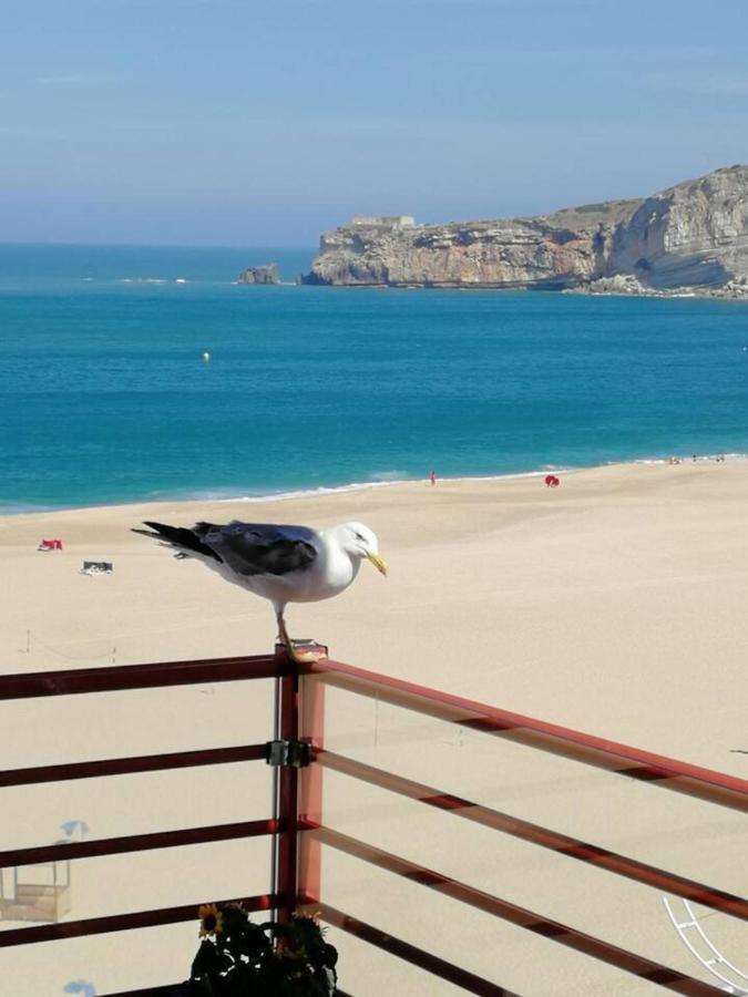 Dream Holiday -Beautiful Spot نازاريه المظهر الخارجي الصورة